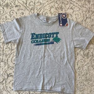Champion Gray and Green Kids Endicott College Tee